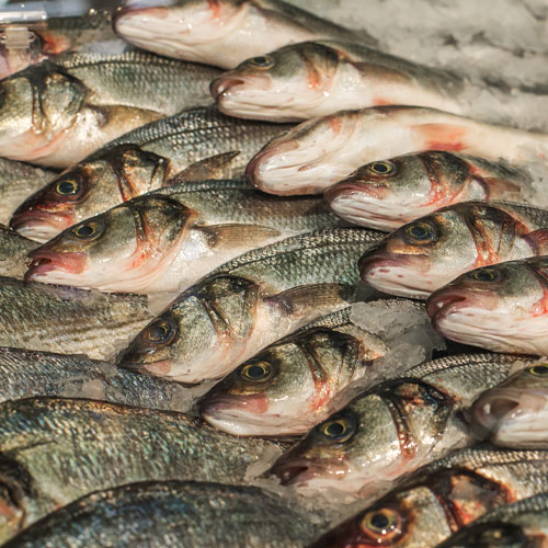 Vitrines à poisson